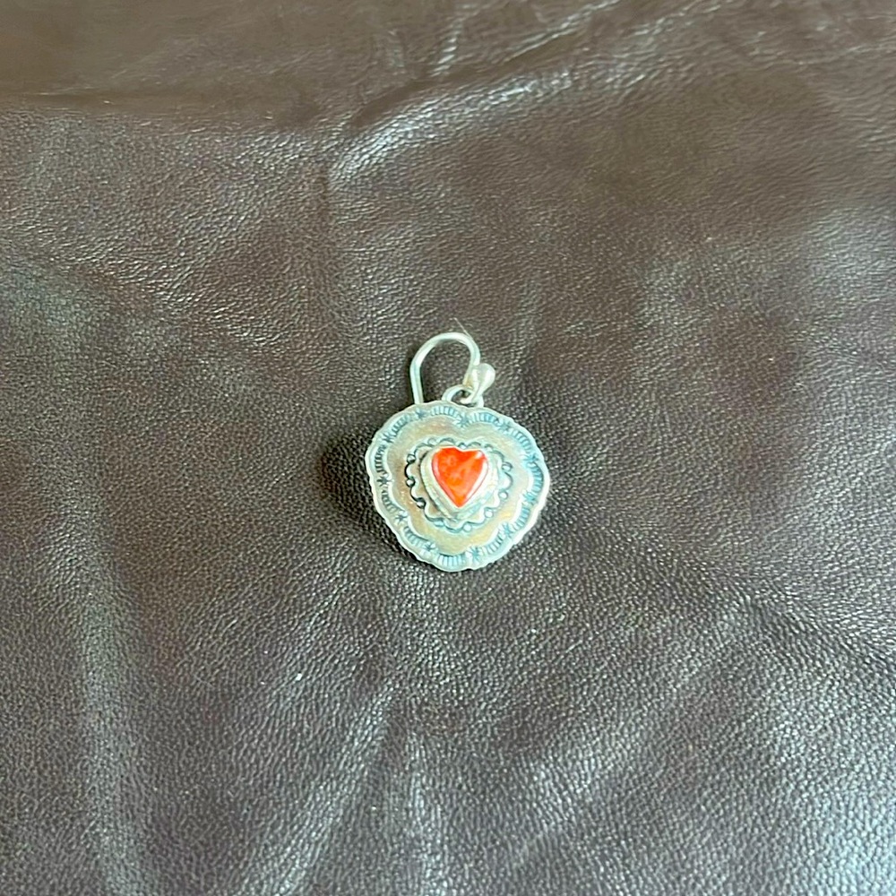 Authentic Native American earring(1)